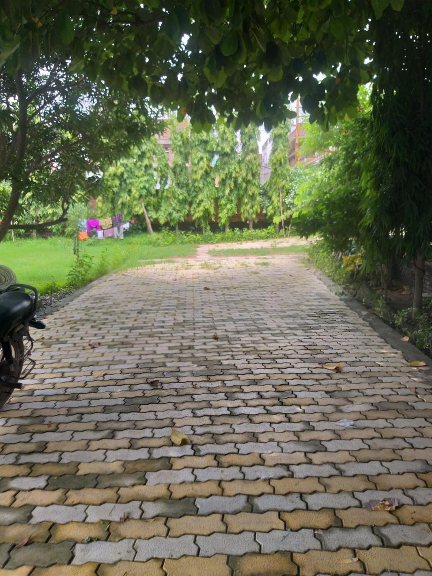 Nature Homestay バラナシ エクステリア 写真